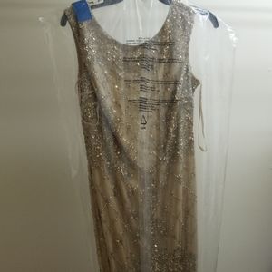 Adriana papell dress